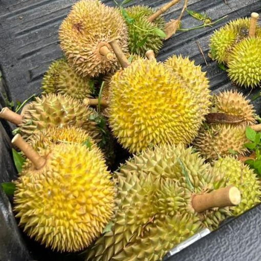 ทุเรียนกวนยัยนัน - Image 4