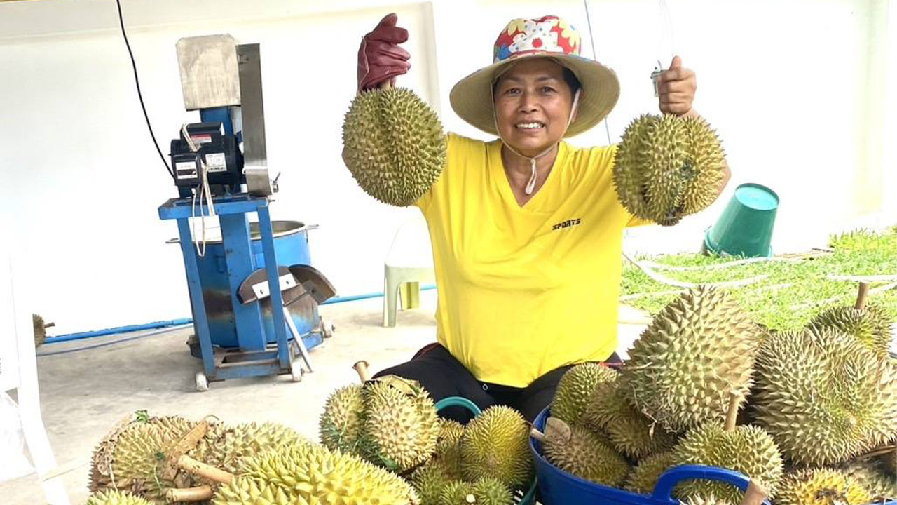 ทุเรียนกวนยัยนัน