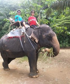 ขี่ช้าง