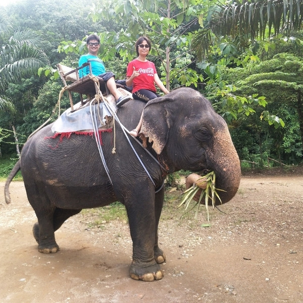 ขี่ช้าง