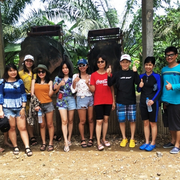 ขี่ช้าง เที่ยวป่าเขาสก - Image 2