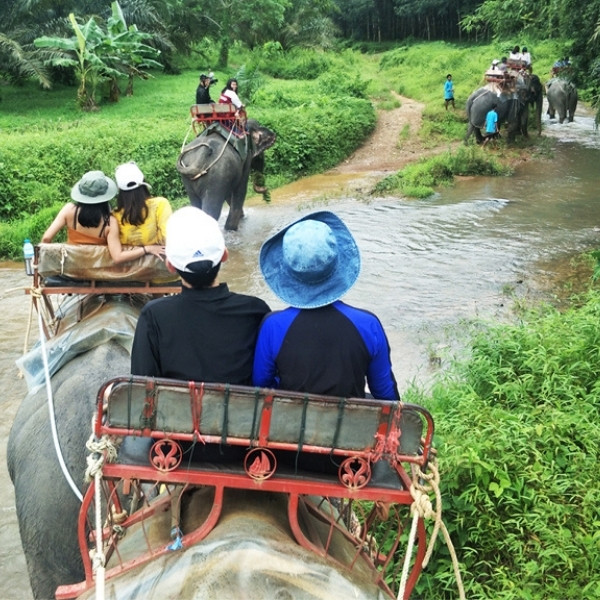 ขี่ช้าง เที่ยวป่าเขาสก - Image 4