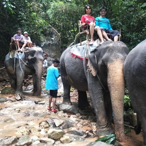ขี่ช้าง เที่ยวป่าเขาสก - Image 5
