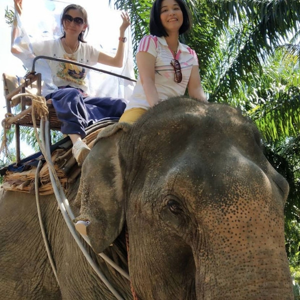 ขี่ช้าง เที่ยวป่าเขาสก - Image 6