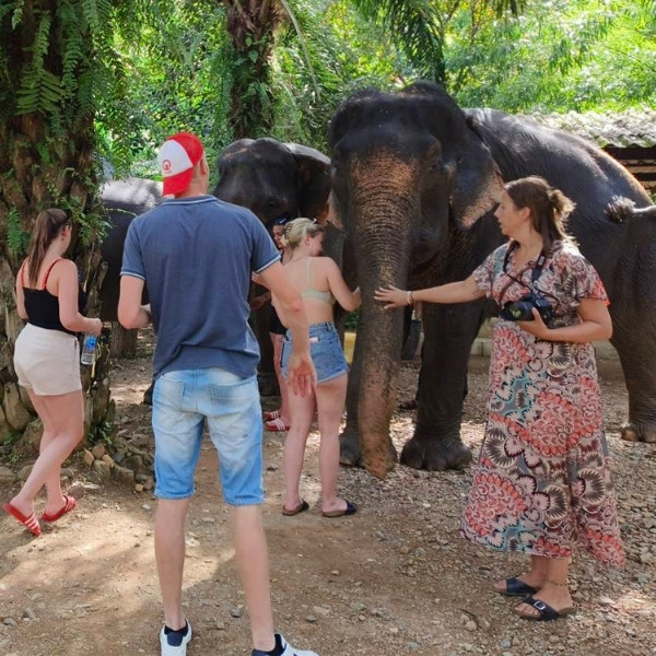 ขี่ช้าง เที่ยวป่าเขาสก - Image 7