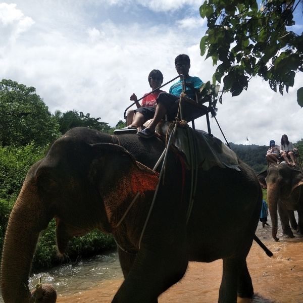 ขี่ช้าง เที่ยวป่าเขาสก - Image 8