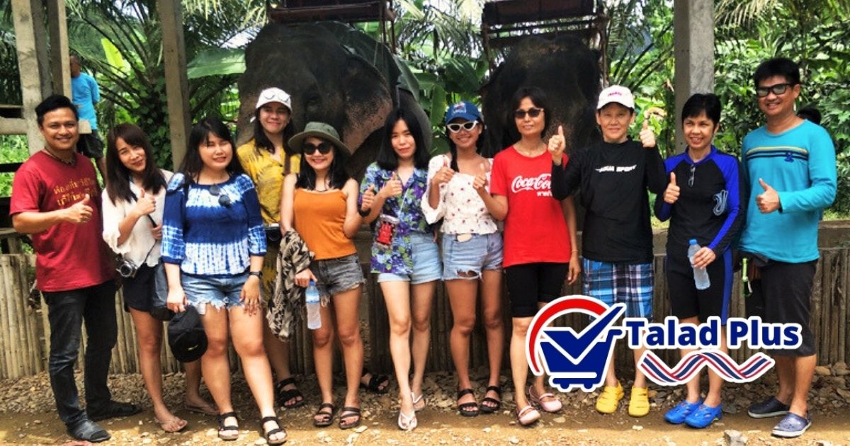 ชุมชนอนุรักษ์ช้างเพื่อการท่องเที่ยว เขาสก