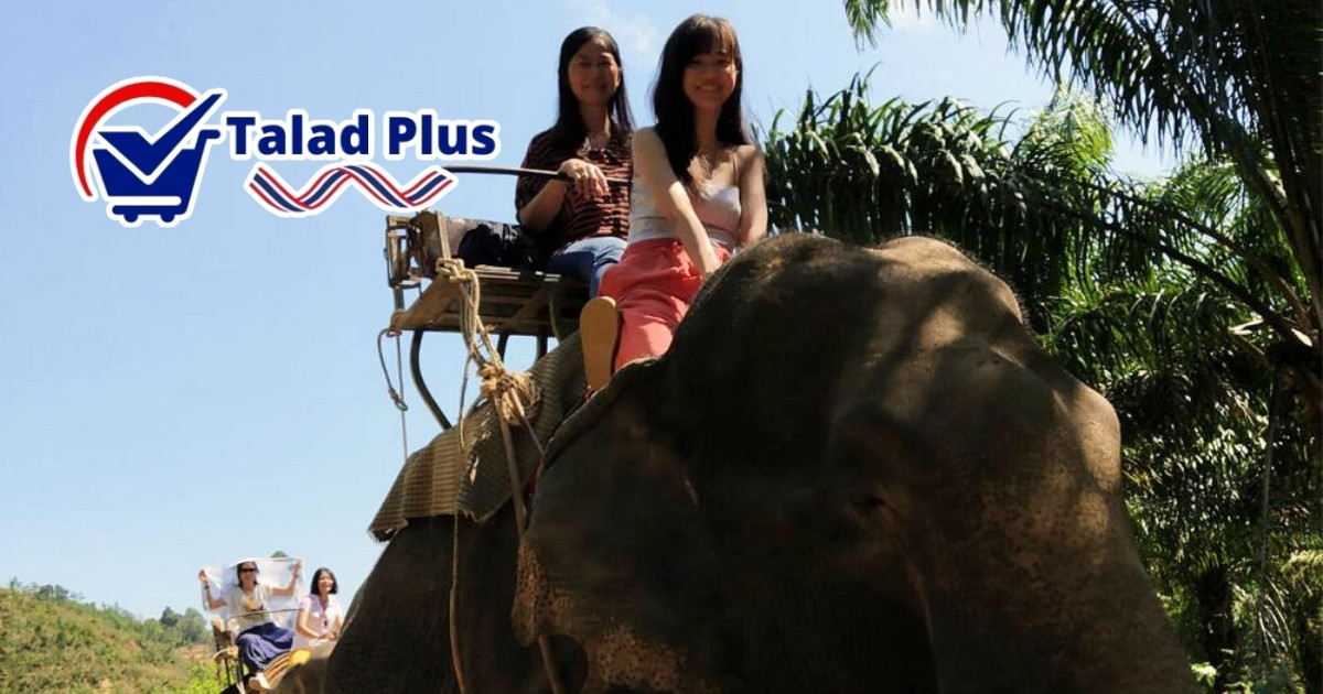 ขี่ช้างเขาสก