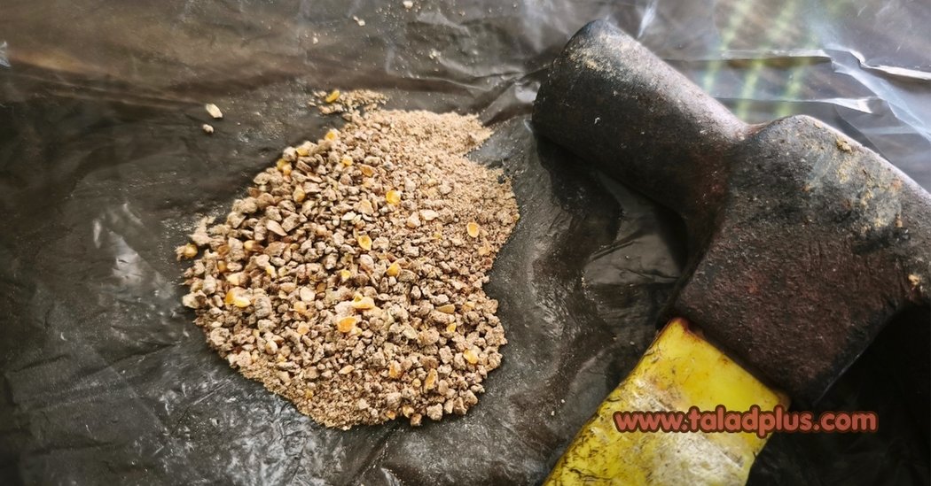 บดอาหารให้ลูกนก