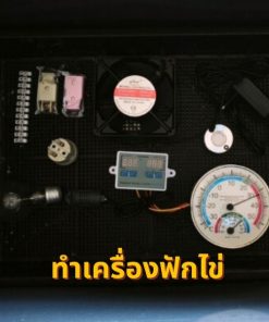 Alternative view of คอร์สเลี้ยงนกกระทาแบบพึ่งตนเองครบวงจรใน 1 วัน