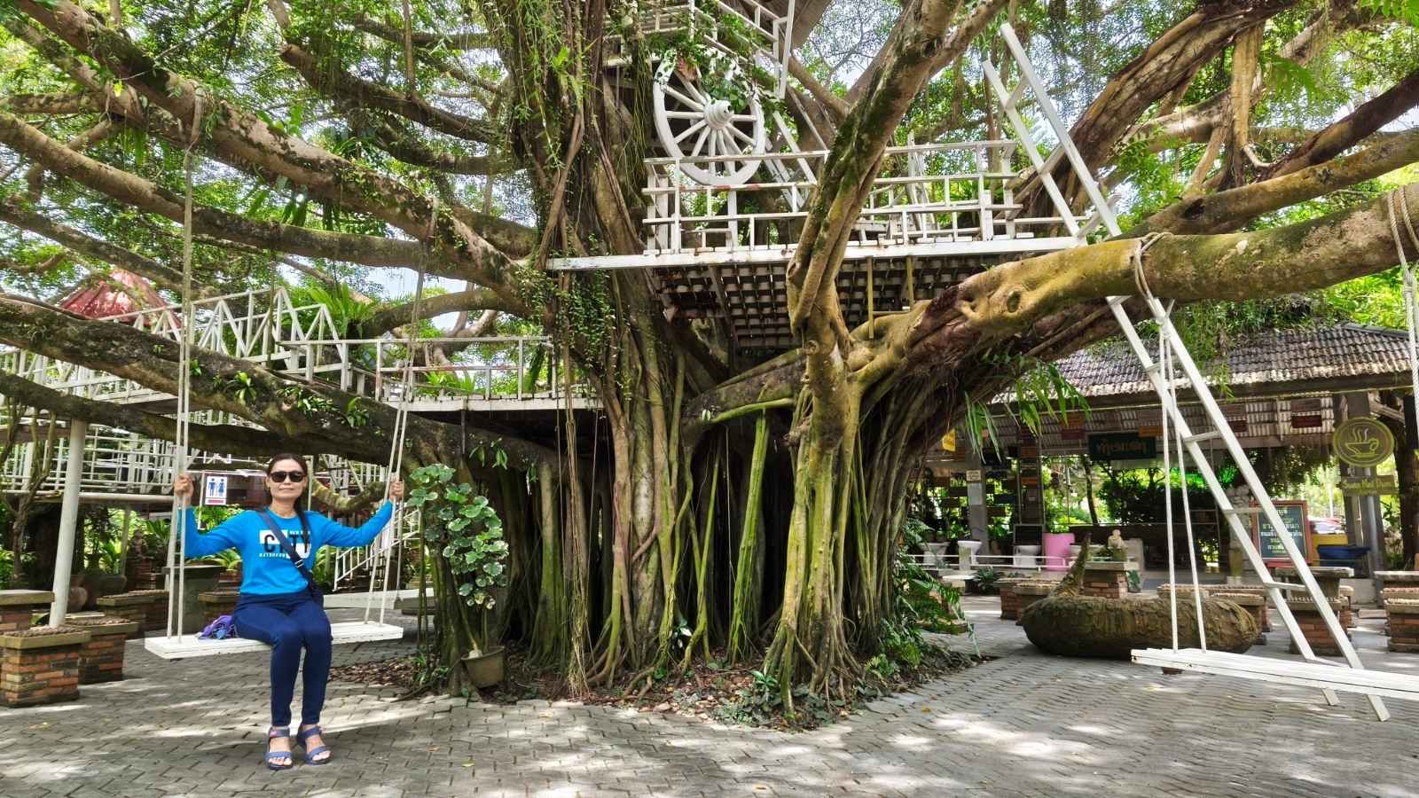 สวนนายดำ