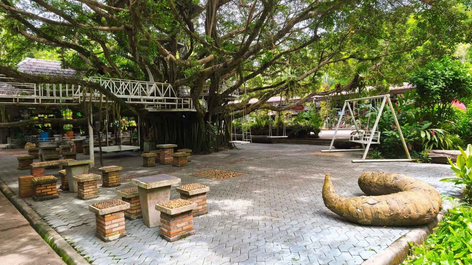 สวนนายดำ