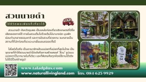 เที่ยวสวนนายดำ