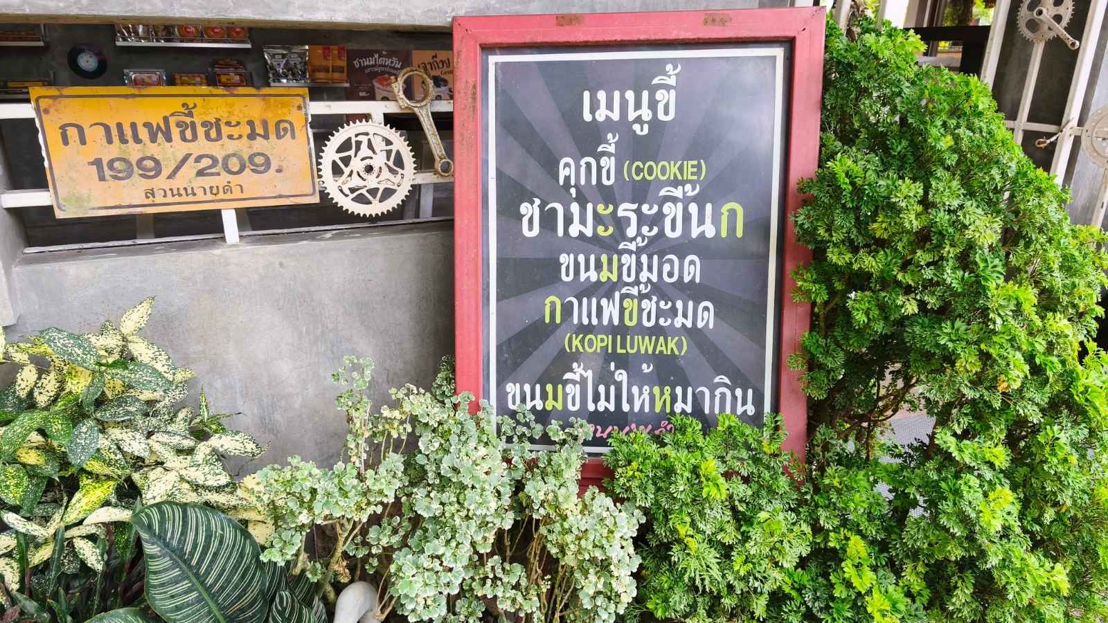 เที่ยวสวนนายดำ ชุมพร